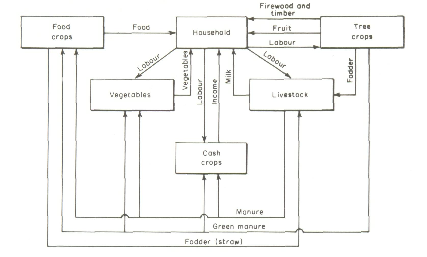 2_Economic considerations in agroforestry